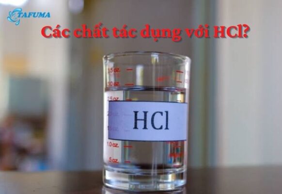 Các chất tác dụng với HCl