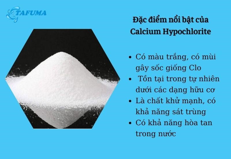 Đặc điểm nổi bật của Canxi hypoclorit