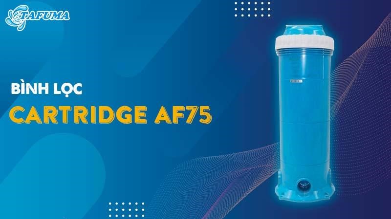 Bình lọc Cartridge AF75 - 5