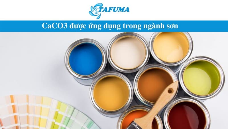 CaCO3 ứng dụng trong ngành sơn