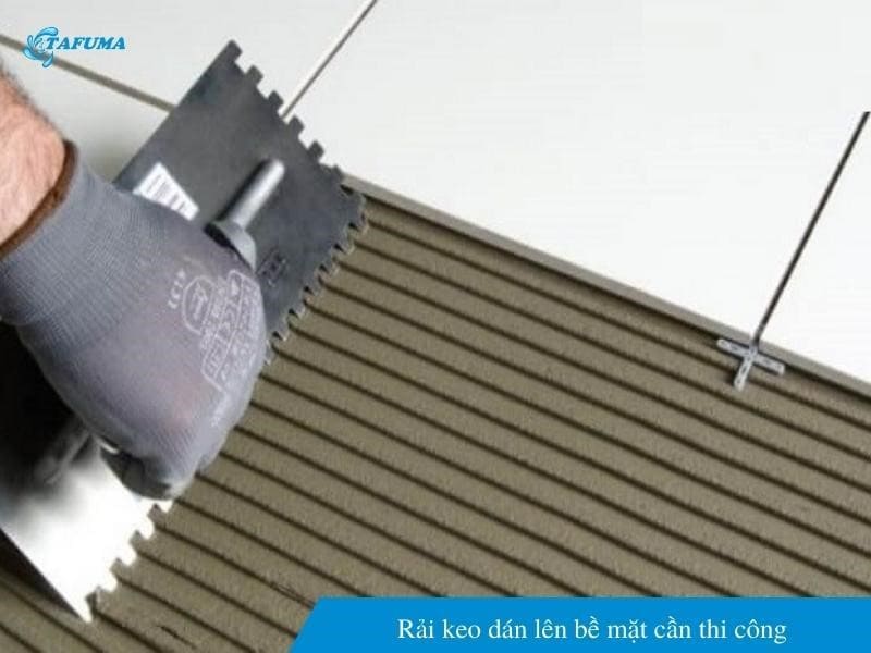 Rải keo dán lên bề mặt cần thi công