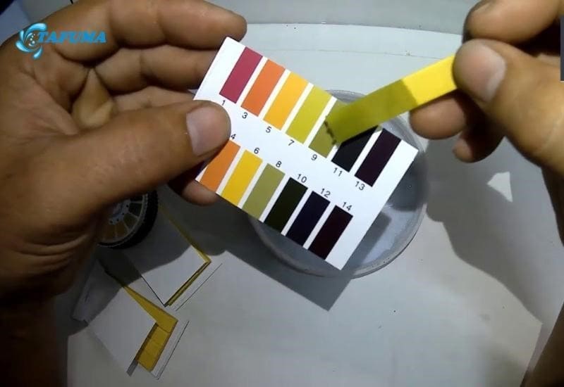 Sử dụng giấy quỳ tím đo độ pH