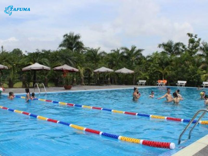Hồ bơi nhà vườn Long Phước