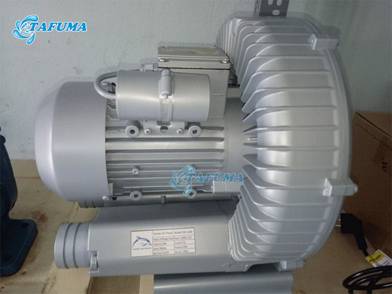 Đặt máy thổi khí bể bơi ở nơi khô ráo