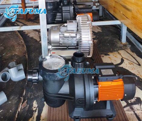 Máy bơm hồ bơi Tafuma được nhiều người yêu thích hiện nay