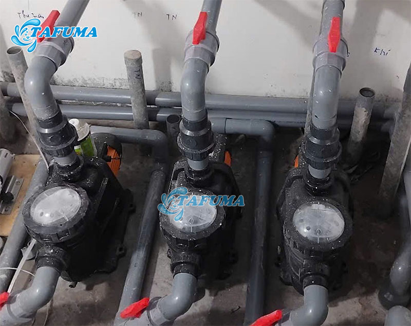 Máy bơm Tafuma được lắp đặt cho khách hàng