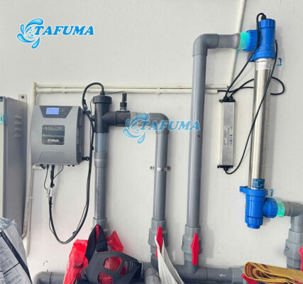 Đèn UV Blue Lagoon được sử dụng để khử trùng nước bể bơi